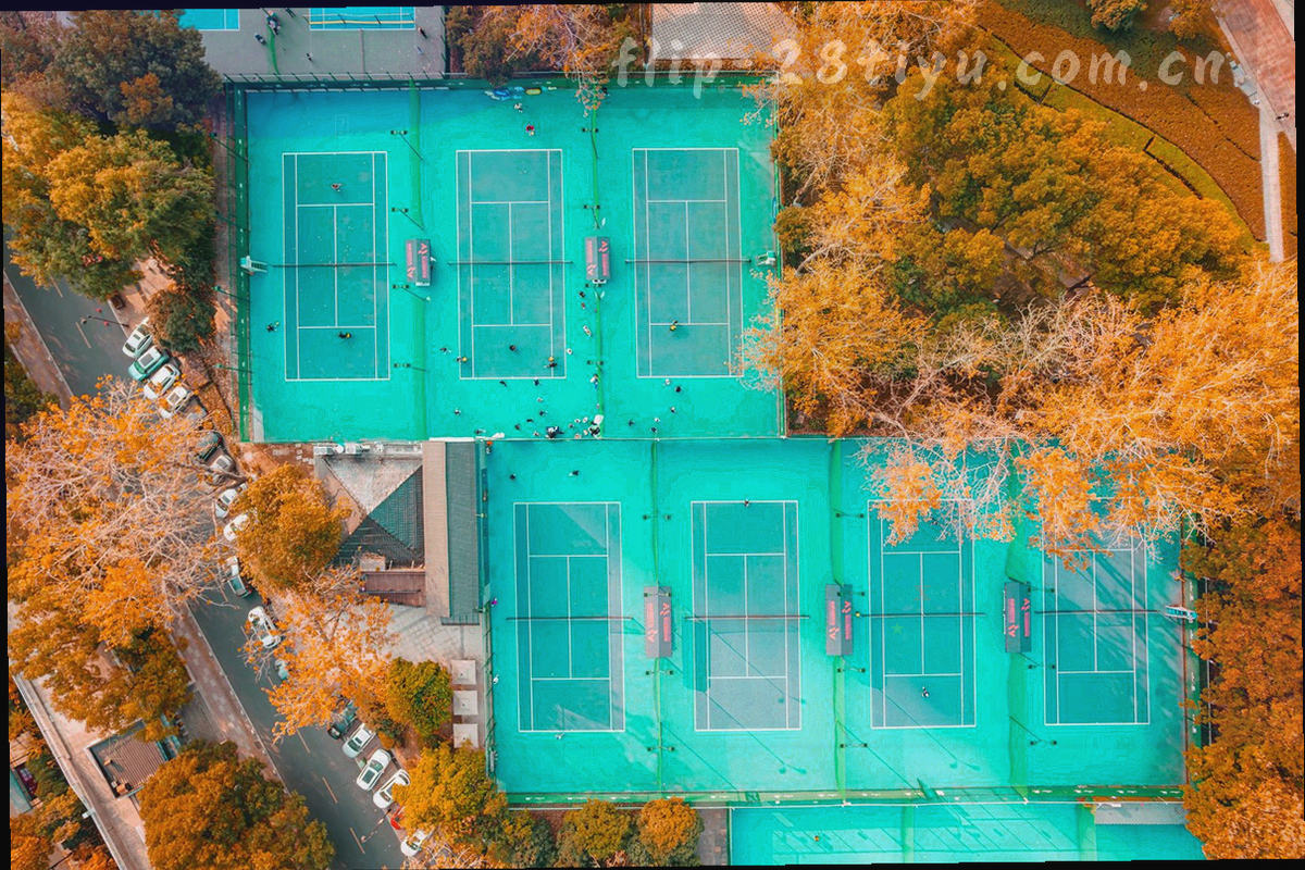 抽象条形与折线构成的联赛排名走势图，不出现真实球队名称